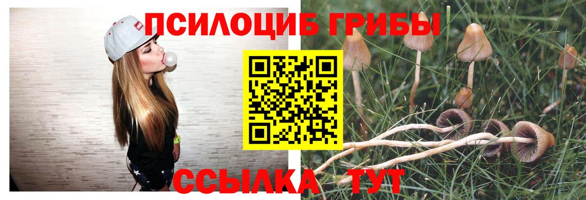 Галлюциногенные грибы ЛСД  Псилоцибиновые грибы Psilocybine cubensis  Серов  Вход с VPN 